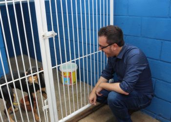 Sumaré – Sumaré cria projeto de acolhimento temporário de animais