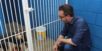 Sumaré – Sumaré cria projeto de acolhimento temporário de animais