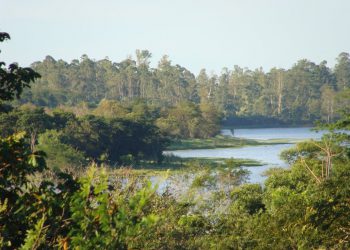 Sumaré – VII Conferência Municipal de Meio Ambiente acontece no próximo dia 13