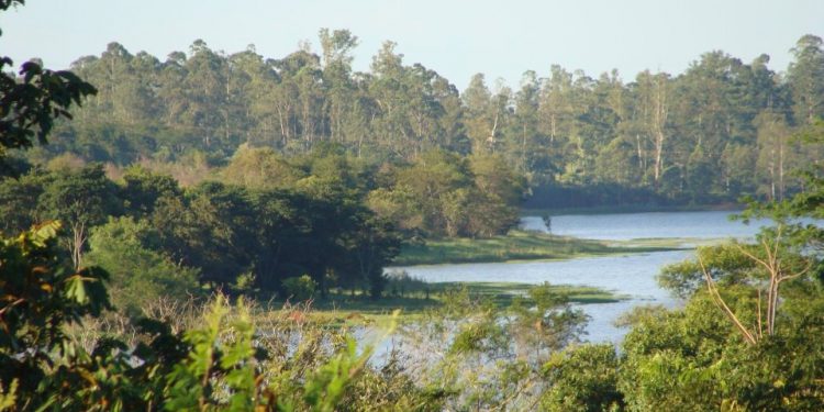 Sumaré – VII Conferência Municipal de Meio Ambiente acontece no próximo dia 13