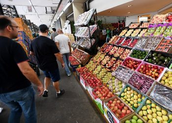 Campinas – Ceasa movimenta 50 mil toneladas de frutas, verduras e legumes em dezembro