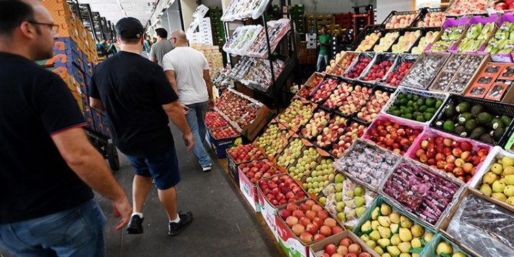 Campinas – Ceasa movimenta 50 mil toneladas de frutas, verduras e legumes em dezembro