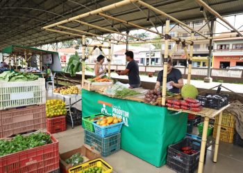 Louveira – Feira do Produtor prioriza venda de frutas, verduras e legumes frescos nesta terça na Estação