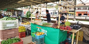 Louveira – Feira do Produtor prioriza venda de frutas, verduras e legumes frescos nesta terça na Estação