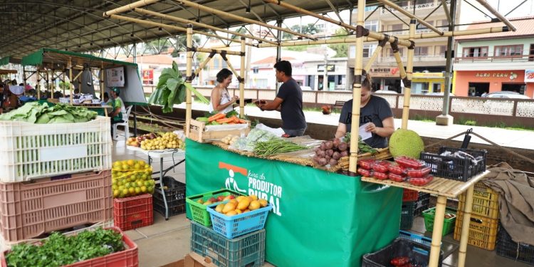 Louveira – Feira do Produtor prioriza venda de frutas, verduras e legumes frescos nesta terça na Estação