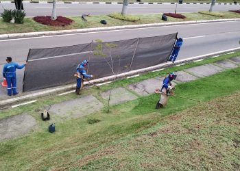 Louveira – Reserva das Videiras, Jd. Diamante, Monterrey e outros pontos da cidade recebem serviços de zeladoria nesta quarta-feira (1)