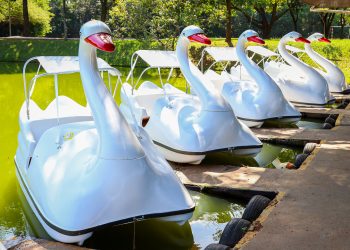 Paulínia – Parque Zeca Malavazzi recebe novos pedalinhos com cobertura