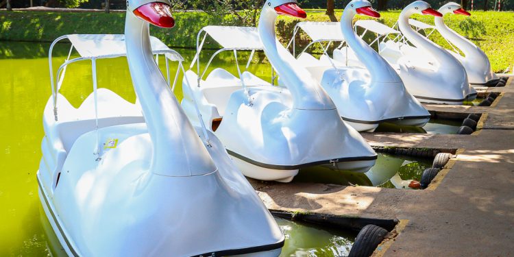 Paulínia – Parque Zeca Malavazzi recebe novos pedalinhos com cobertura