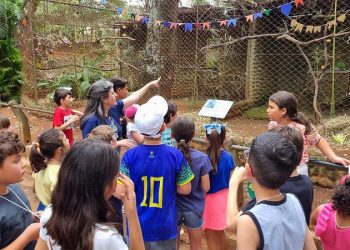 Americana – Crianças conhecem hábitos dos papagaios na primeira oficina do EducaZoo