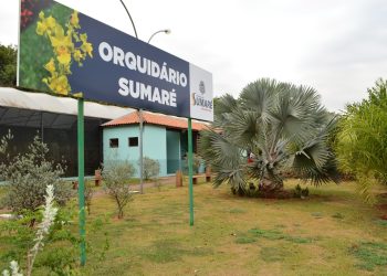Sumaré – 13ª Mostra e Venda de Orquídeas acontece neste final de semana