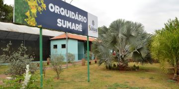 Sumaré – 13ª Mostra e Venda de Orquídeas acontece neste final de semana