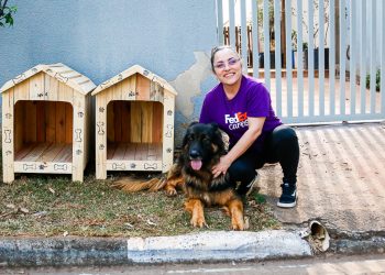 Paulínia –  Programa Cão Comunitário distribui 24 casinhas pela cidade