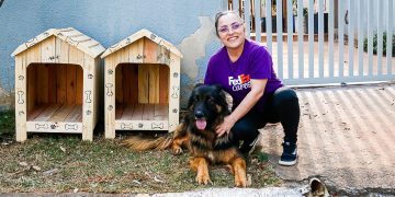 Paulínia –  Programa Cão Comunitário distribui 24 casinhas pela cidade
