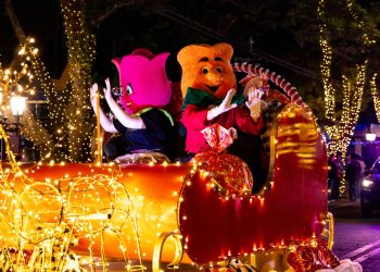 Holambra – Natal Mágico de Holambra: semana terá atrações musicais de diversos gêneros