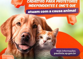 Paulínia – Prefeitura reabre cadastro para protetores e ONG’s da causa animal