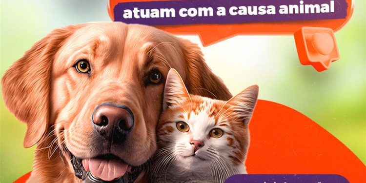 Paulínia – Prefeitura reabre cadastro para protetores e ONG’s da causa animal