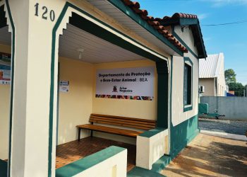 Artur Nogueira – Prefeitura lança projeto “Reciclou” nesta quarta-feira