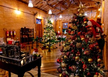 Artur Nogueira – “Natal Encantado no Berço da Amizade 2024” traz programação cultural