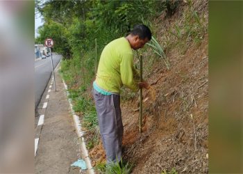 Itapira – COMDEMA e SAMA realizam plantio de árvores visando à neutralização dos gases de efeito estufa
