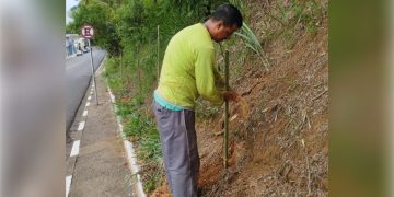 Itapira – COMDEMA e SAMA realizam plantio de árvores visando à neutralização dos gases de efeito estufa
