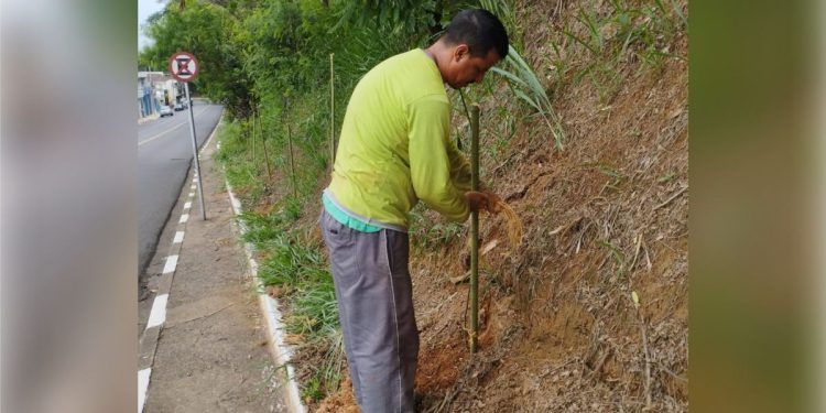 Itapira – COMDEMA e SAMA realizam plantio de árvores visando à neutralização dos gases de efeito estufa