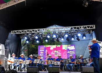 Vinhedo – Oficina preparatória auxiliou os músicos a acessarem o edital e a participarem do processo