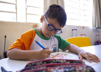 Holambra – Holambra conquista Selo Ouro do Ministério da Educação por ações de alfabetização